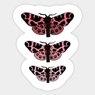 Cute Moths Sticker